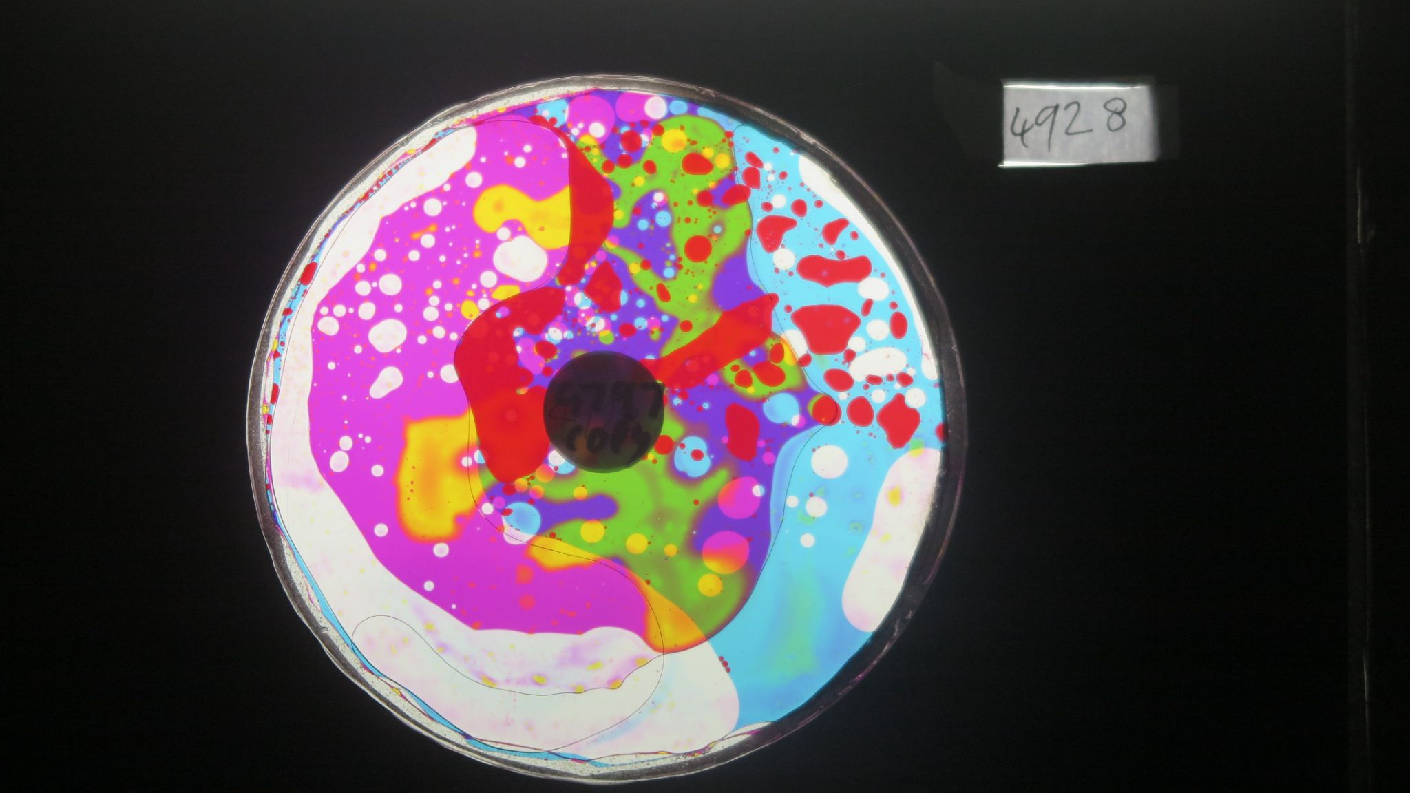 BV4928 bubble vision oil wheel